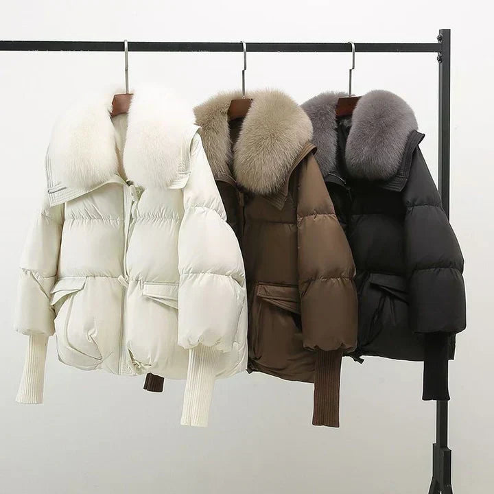 Timeless Winter Jacket, Lily & Sam, image 8